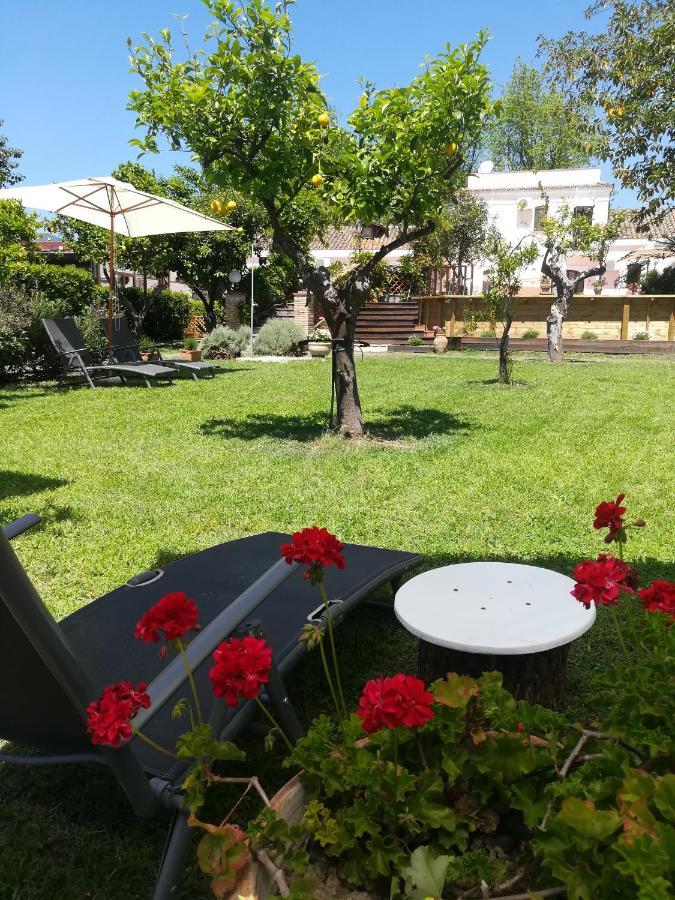 Agriturismo Terrenia Villa Trappitello Luaran gambar